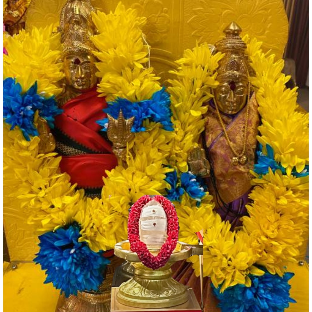 Mission of Narayan Trust Seva Sansthan